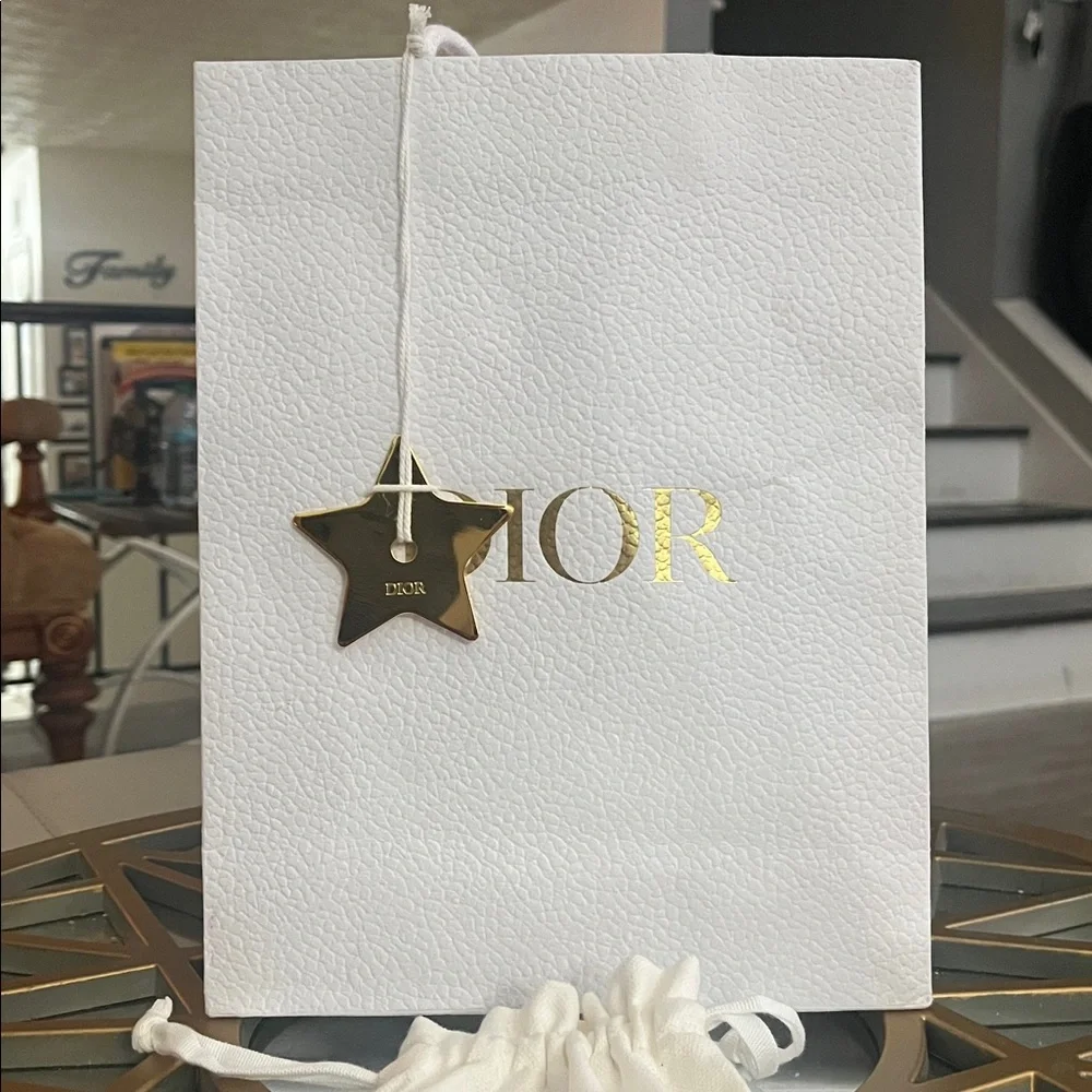 Dior Gift Bag - Picture 4 of 12